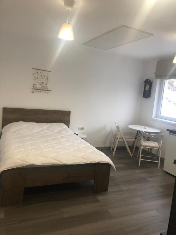Apartamento Garsoniera La Munte Azuga Exterior foto